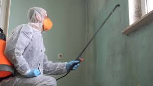 Mold Remediation for Vacation Homes in Latham, NY