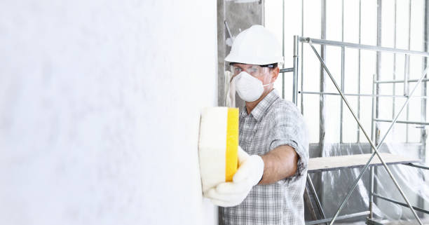 Best Biohazard Mold Removal  in Latham, NY